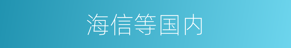 海信等国内的同义词