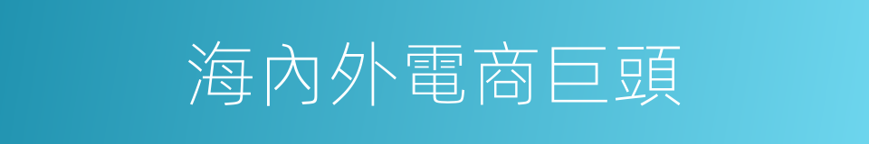 海內外電商巨頭的同義詞