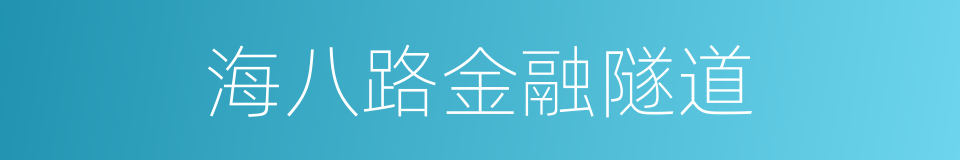 海八路金融隧道的同义词