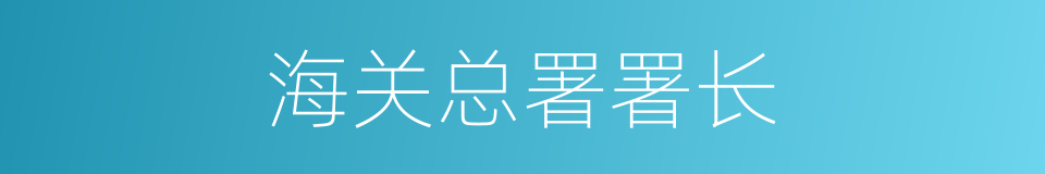 海关总署署长的同义词