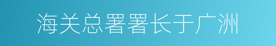 海关总署署长于广洲的同义词