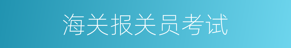 海关报关员考试的同义词