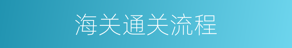 海关通关流程的同义词
