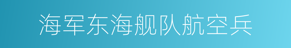 海军东海舰队航空兵的同义词