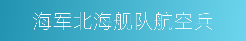 海军北海舰队航空兵的同义词