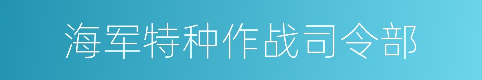 海军特种作战司令部的同义词