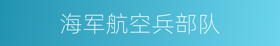 海军航空兵部队的同义词