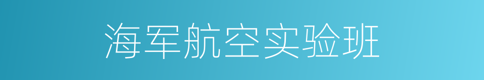 海军航空实验班的同义词