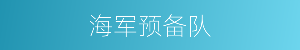 海军预备队的同义词