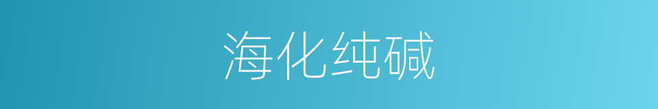 海化纯碱的同义词