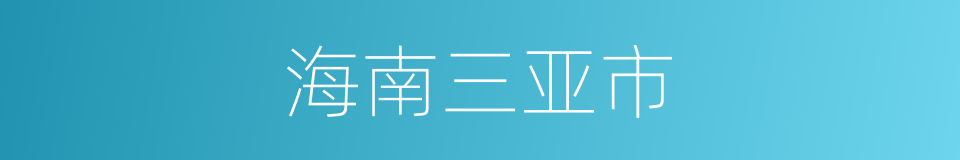 海南三亚市的同义词