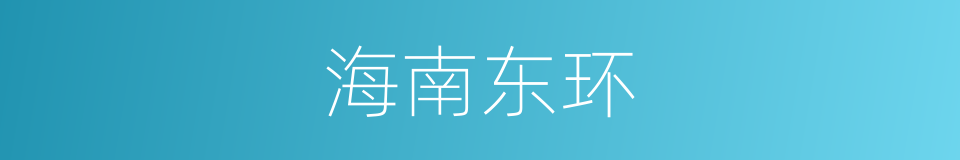 海南东环的同义词