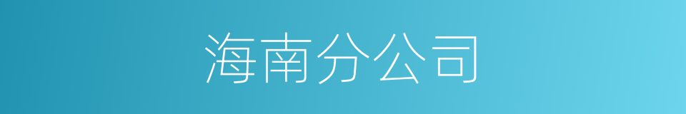 海南分公司的同义词