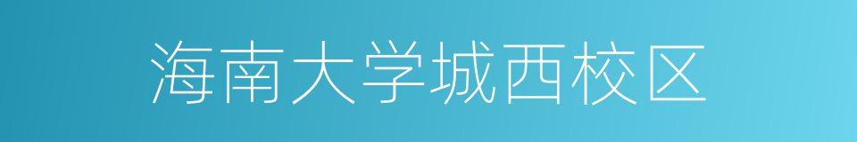 海南大学城西校区的同义词