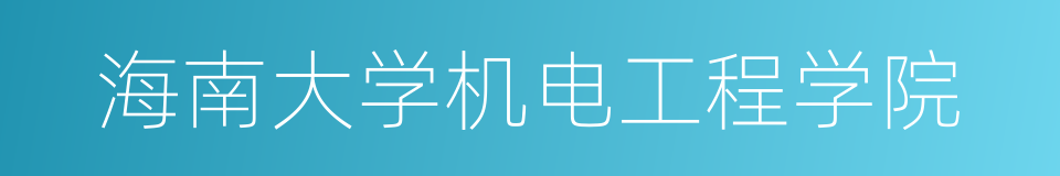 海南大学机电工程学院的同义词
