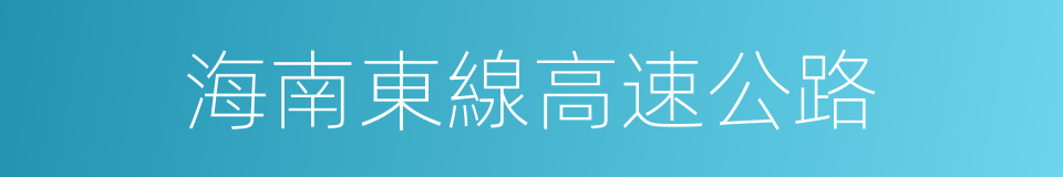 海南東線高速公路的同義詞