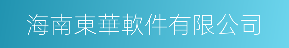 海南東華軟件有限公司的同義詞