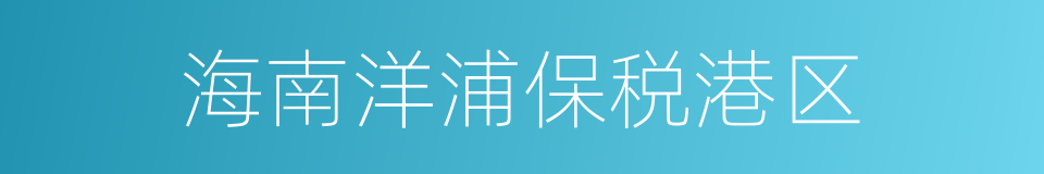 海南洋浦保税港区的同义词