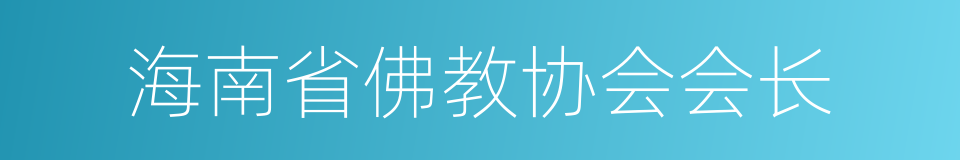 海南省佛教协会会长的同义词