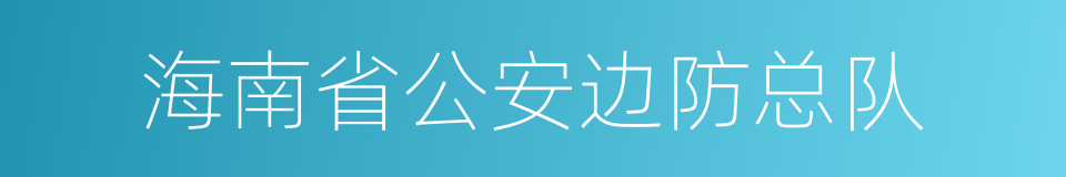 海南省公安边防总队的同义词