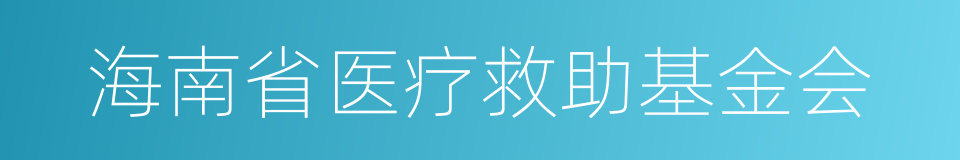 海南省医疗救助基金会的同义词