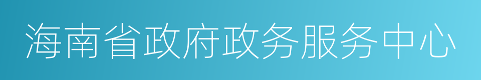 海南省政府政务服务中心的同义词