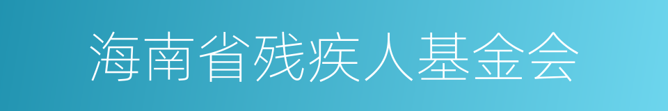 海南省残疾人基金会的同义词