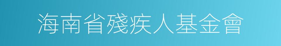 海南省殘疾人基金會的同義詞