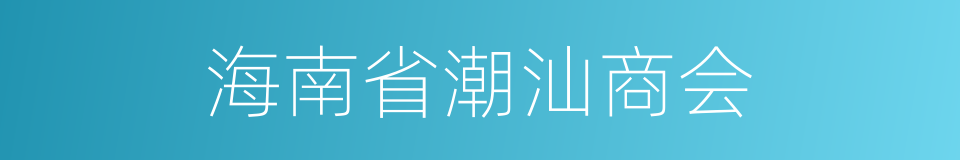 海南省潮汕商会的同义词