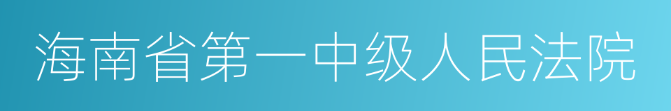 海南省第一中级人民法院的同义词