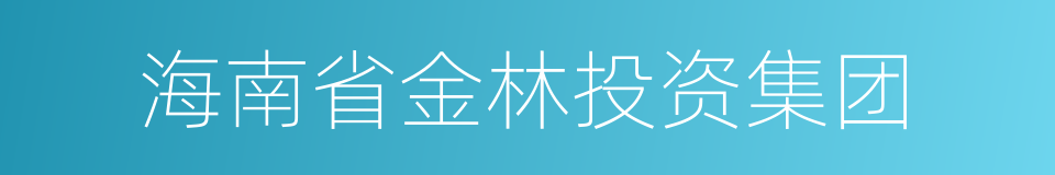 海南省金林投资集团的同义词