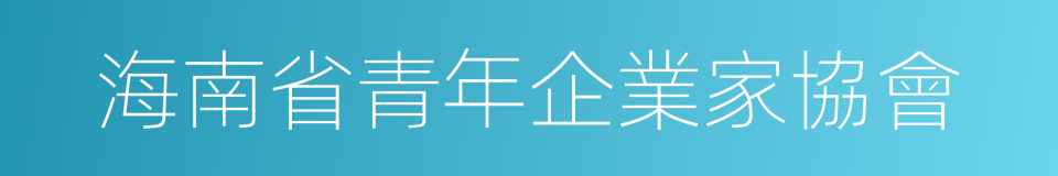 海南省青年企業家協會的同義詞