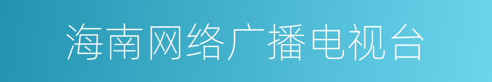 海南网络广播电视台的同义词