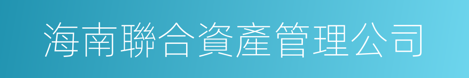海南聯合資產管理公司的同義詞