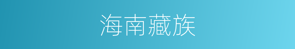 海南藏族的同义词