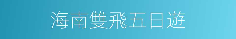 海南雙飛五日遊的同義詞