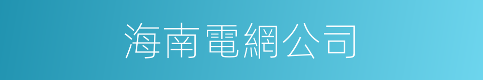 海南電網公司的同義詞