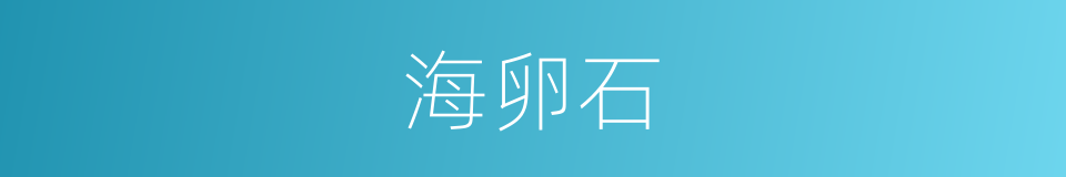 海卵石的同义词