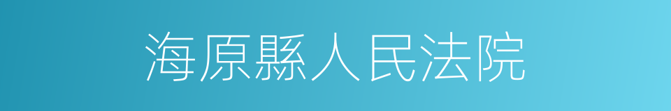 海原縣人民法院的同義詞