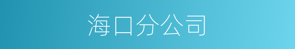 海口分公司的同义词