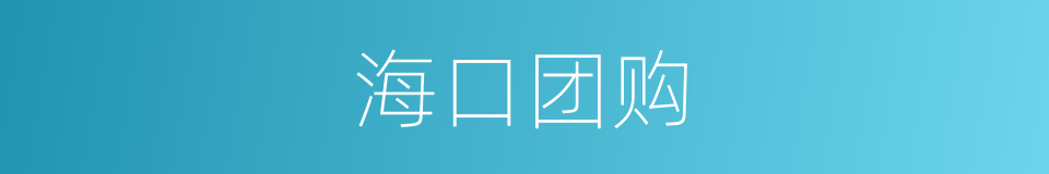 海口团购的同义词
