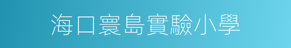 海口寰島實驗小學的同義詞