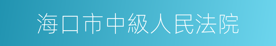 海口市中級人民法院的同義詞