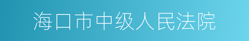 海口市中级人民法院的同义词