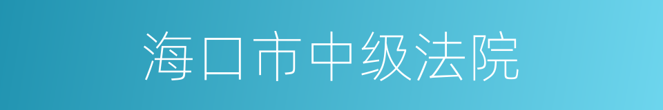 海口市中级法院的同义词