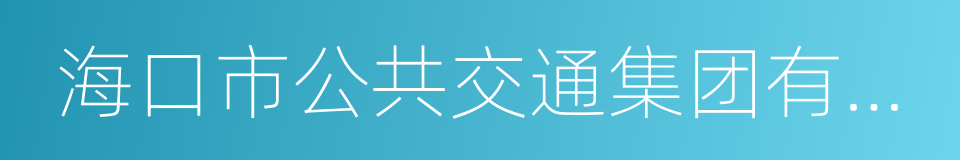 海口市公共交通集团有限公司的同义词