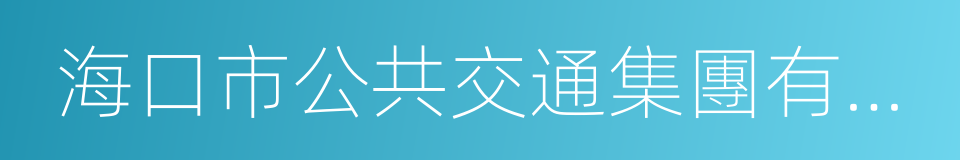 海口市公共交通集團有限公司的同義詞