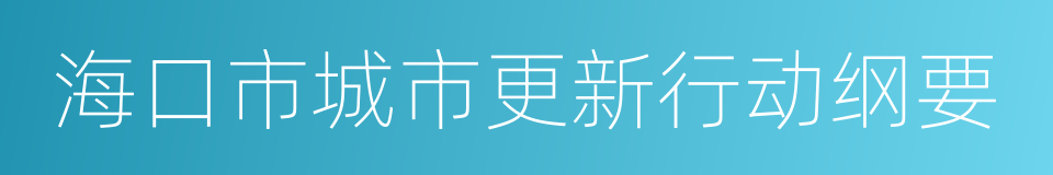 海口市城市更新行动纲要的同义词