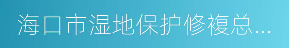 海口市湿地保护修複总体规划的同义词