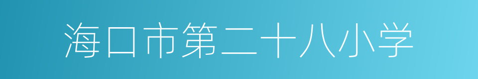 海口市第二十八小学的同义词